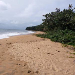  Lotissent Et Immatriculation De Terrain - mine terrain concession projet pour lotissement et immatriculation de sites en bordure de mer  au cameroun dans la ville de kribi pouvant etre exploité pour grand projet agricole,  exploitation minière,  construction hôtel ou logement en bordure de mer...