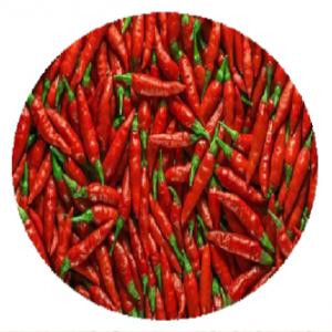 Piment Rouge Frais Et Sèc - fruits et légumes a la recherche de client pour le piment rouge togolais. nous disposons de 10 tonnes de piment frais et 5 tonnes de sèc.
