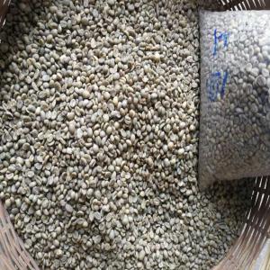  Café Vert Arabica Sud Ouest De La Chine - café cacao thé importateur direct du café vert arabica de sud-ouest de la chine (pu'er).--- dans cette région de pu’er,  il y a déjà des bases des entreprises internationales comme starbucks,  nestle.--- caractère et arômes- harmonieux,  arômes épicés,  tr&e