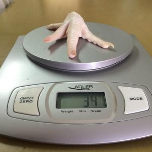  Frozen Chicken Paw Feet Mjw Etc... - meat and eggs moq is 10 fcl of 40 . --prices are in $ per mt cif-  --mjw 2300--paws 2200--feet 2000 --other parts let me know.--payment terms ---100% irrevocable,  transferable usance lc for 60 days-- after bl,  deferred payment.--if you can provide an loi we can move forward. --kind regards 