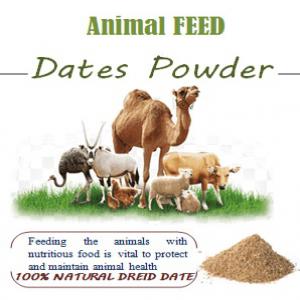  Animal Feed Dates Powder - feed animal feed-----dates  powder--feeding the animals with nutritious food is vital to protect and maintain animal health--we use dry dates and their fibers in the manufacture of animal feed.--after drying and grinding,  we pack them in bags of different sizes according to the customer's desire.