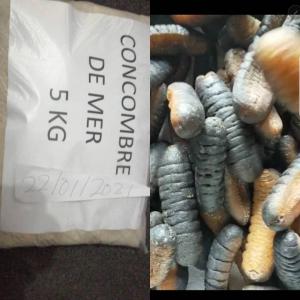  Concombre De Mer - coquillage crustacé je suis un fournisseur de concombre de mer en poudre ou non en poudre de bon qualité sans produits chimiques je vend à celui qui est intéressé merci de me contacter par mon adresse email ou mon de téléphone whatsapp --j ai 800 kilo où plus --