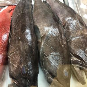  Commercialisation Du Poisson Et Fruits De Mers - poissons bonjour on est en recherche des partenaires pour la commercialistion du poisson et fruits de mers venant du senegal..--on des tres bon produits de qualité superieur. cordialement
