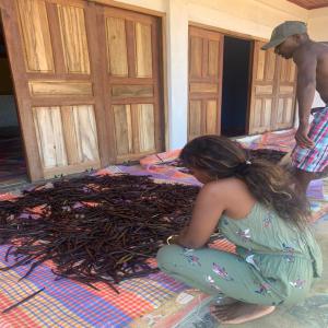  Producteur Importateur Vanille Gourmet Madagascar - épices aromates nous sommes producteur et importateur de vanille gourmet origine madagascar. frais d'exp&eacute;ditions gratuits partout en france d&egrave;s 1 kilo command&eacute;. taux vanilline 1, 8% taux d'humidit&eacute; 35%. sachets sous vide de 250 grs tous nos sachets sont &eacute;tiquet&eacute;s avec mentio