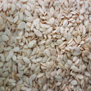  African Pistachio Seed, Sesame - cereals we togolese producers and are looking for a buyer of--african pistachio seed,  sesame in nigeria. we have a large quantity of shelled and unshelled african pistachio seed. possibility of delivering 100 to 200 bags of 100kg per week.