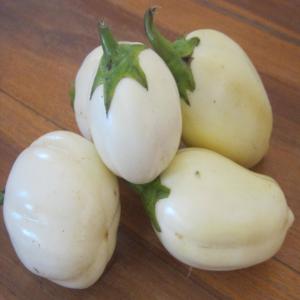  Aubergines Rondes Fruits Et Legumes Africains - fruits et légumes vente de produits exotiques africains pour magasin exotique - djakhatou,  piment,  gombos,  aubergine blanche ronde &agrave; &oelig;uf solanum melongea,  banane plantain,  en gros,  en demi-gros,  et &agrave; de bon prix--- aubergines rondes--- aubergines africaines djakhatou--- piment frais antillais--- p