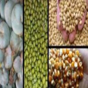  Nous Recherchons Des Partenaires Pour Achat Des - fruits et légumes nous sommes à la recherche des partenaires pour achat des produits agricoles comme le soja, --le karité,  la noix de cajou,  maïs...--nous sommes présentes au bénin comme en france.--nous contacter pour plus de renseignements.--nous sommes présentes au bénin co