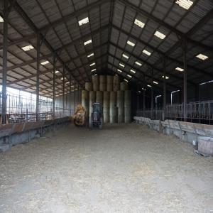  Vente Bovins - transport transit logistique vous etes importateur de bovins   et recherchez dans le centre  de la france un centre de stockage pour animaux?--nous sommes vendeurs d'une structure d'une capacité de 500 tetes de bétail.--au coeur de la france ( berry) cette unité vous permettra de maintenir les animaux plusi