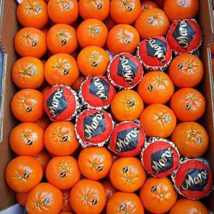  Partenaire - fruits et légumes je suis &agrave; la recherche des client pour les fruit de mes fermes orange cl&eacute;mentaine peche abricots cantaloup past&egrave;que et raisins. 