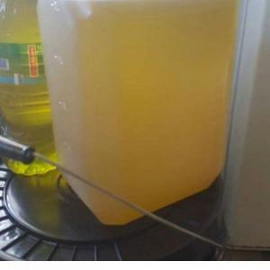  Moringa Seed Oil - other moringa oil   beauty secret of ancient egyptians--moringa oil,  the beauty secret of ancient egyptians,  is from the seeds of the moringa oleifera tree,  and has been proven to be one of the finest oils for both health,  skin and hair.----it can be used on all types of skin---as a deep moisturiser, --as 