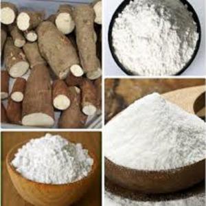  Tubercule, Chikwangue, Et Feuilles De Manioc - féculents nous disposons du manioc et ses sous produits à vendre nous contacter si intéressé---manioc   1, 3 euro---chikwangue  1, 5 euro---feuilles de manioc 1, 5 euro---tapioca jaune 1, 5 euro---tapioca blanc 2 euro--unité kg