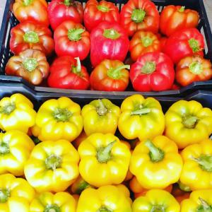  Contrat Contuner Par Mois Du Maroc - fruits et légumes notre soci&eacute;t&eacute; de dustribution l&eacute;gumes et fruits en guin&eacute;e conakry et cherche une soci&eacute;t&eacute; qui int&eacute;resse pour une march&egrave; de 4 contuner par moi . avec modalit&eacute;s de payement 07 jour apr&egrave;s chaque arrivage 