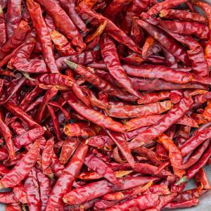  Piment Séché - fruits secs et graines grillées bonsoir,  je cherche des fournisseurs locaux de piment sec de type bec d'oiseau et autres. quelques soit la quantité que vous disposez petite ou grande n'hésitez pas à me contacter.