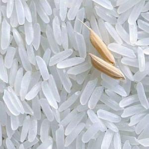  Riz Blanc, Sucre, Farine De Blé, Huile Végétale - céréales spécialisée dans l'agroalimentaire vous propose -  riz blanc 5%,  15%,  25%,  100% d'origine inde,  thaïlande,  vietnam,  sucre icumsa 45 d'origine brésilienne/afrique du sud,  farine de blé d'origine française/espagnol,  huile végétale (tournesol,  palme)  d'
