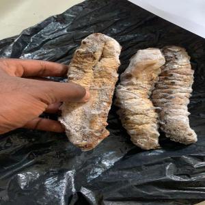  Concombres De Mers. - coquillage crustacé nous disposons de l'esp&egrave;ce concombres de mers. nous avons le produit &agrave; l'&eacute;tat brute et nous les transformons &eacute;galement en &eacute;tat de pourdre dans le but de faciliter la consommation par nos clients.----nous sommes une soci&eacute;t&eacute; qui fait dans la vente de co