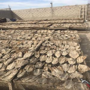  Vente De Poisson Salé Séché Et Frais - poissons bonjour nous sommes  une entreprise spécialisé  dans  la fourniture de poisson salé séché toute espèce  produit  et de poisson surgelé  nous livrons actuellement dans la sous région et en europe 