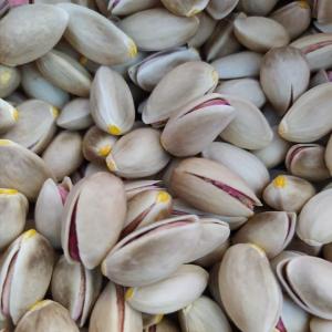 Pistache - fruits secs et graines grillées on met en vente des pistaches variété matri ( beldi) de haute qualité --veuillez nous contacter pour établir contrat de livraison ----