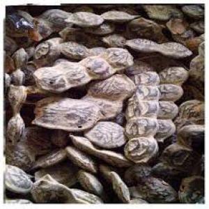  Poudre Et Gousses D'acacia Nilotica (nep Nep) - matiere vegetale nous mettons en vente une grande quantité de poudre et de gousses d'acacia nilotica . encore connu sous le nom de nep nep. un puissant antibiotique ,  antifongique,  antipaludéens avec des teneurs en potassium et magnésium et bien d'autres vertus.--nous joindre pour achat