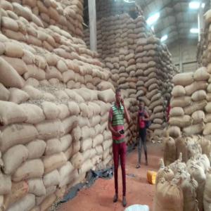  Sésame Et Anacade Burkinabé En Stockage - fruits secs et graines grillées nous disposons en grande quantité de l'anacade,  des sésame de la présente saison. propre et de très bonne qualité. 