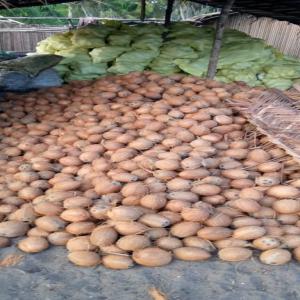  Recherche D'acheteur - fruits secs et graines grillées bonjour, --nous sommes à la recherche d'acheteurs internationaux sérieux pour l'écoulement de nos quantités de coco depuis la côte d'ivoire. 