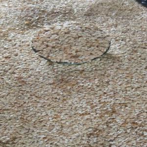  Sésame Décortiqué De Qualité Du Bénin. - céréales nous avons du bon sésame déjà décortiqué et bien sec.--nous vendons en kilo et en gros--le sac de 100 kilo est très profitable pour les revendeurs et revendeuses. --le prix du kilo s'élève seulement à 800f--nous sommes localisés a