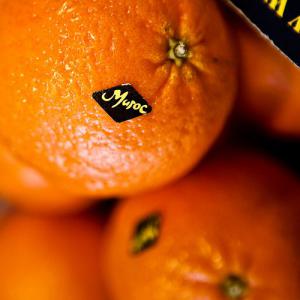 Clémentine - fruits et légumes bonjour,  nous avons des agrumes - clémentine,  mandarine nova,  mandarine ortanique,  mandarine maroc late,  navel... cultivés au maroc merci de me contacter si vous etes intéressés bien à vous,  --- conditionnement -conteneur--- quantite -par conteneur--- emballage- ca