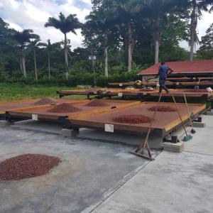  Exportations De Cacao - café cacao thé nous sommes promoteurs et exportateurs des différents cacaos vénézuéliens en grains et en pâtes. toutes nos exportations sont accompagnées d'un rapport de laboratoire de qualité,  d'un rapport phytosanitaire pour l'exportation,  selon les normes internat