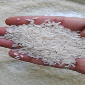  Vente: 50 000 Tonnes De Riz Indien 100% Brisés - féculents *offre de prix* ----riz indien 100% brisés non parfumé - cif ----50 000 mt............... 355 usd pmt --25 000 mt............... 365 usd pmt --12 000 mt................ 380 usd pmt ----riz indien 5% brisées parabolique- cif ----50 000 mt..............450 usd pmt --25 000 mt.....