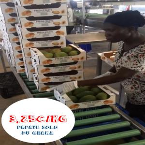  Papaye Mangue Ananas Coco Avocat Fruit De Passion - fruits et légumes achat et vente de produits exotiques africains pour magasin exotique - papaye solo avion côte d'ivoire et ghana,  coco,  mangue,  ananas,  avocat,  fruit de la passion,  canne à sucre,  citron, ... banane plantain,  en gros,  en demi-gros,  et à de bon prix.----- papaye avion--- noix de coc