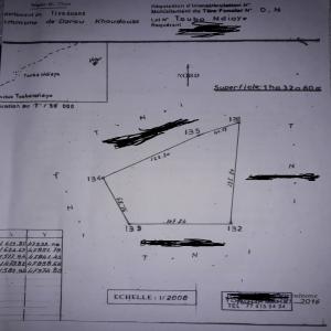  Terrain Agricole Sur Mboro Vendre - horticulture plante biocarburant un terrain à usage agricole,  d'une superficie de 1hectare 32 ares situé à mboro (senegal). idéal pour ferme agricole,  agriculture,  maraîchage,  élevage etc----prix- 5.000.000 fcfa. (prix peu négociable)
