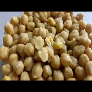  Pois Chiches, Lin, Caméline - fruits secs et graines grillées fournisseur en gros de produits agricoles de niche. nous vendons des pois chiches,  des petits pois,  de la cam&eacute;line,  du lin