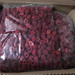 Exportation De Fraises, Framboises Et Myrtilles - fruits et légumes exportation de fraises,  framboises et myrtilles congel&eacute;es iqf. nos agriculteurs nous ont choisi pour vendre leurs productions 2021-2022. capacit&eacute;es +1000 tonnes. fruits du chili.