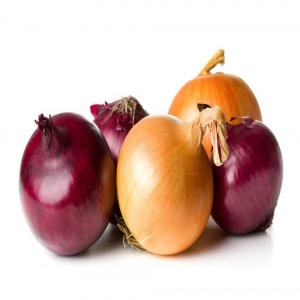  Oignons Secs Maroc - fruits et légumes nous disposons d'un stock d'oignons rouges et jaunes de plusieurs centaines de tonnes ,  disponible immédiatement. ----