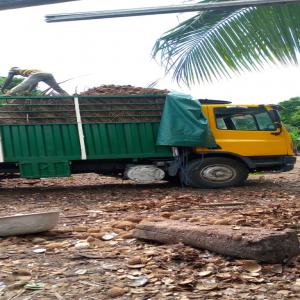  Coque De Coco - bois charbon fibre bonjour, --nous sommes en côte d'ivoire et disponible d'une bonne quantité de coque de coco.--merci de nous contacter urgemment. 