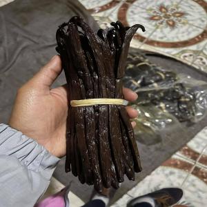  Vanille Noire Gourmet - épices aromates exclusivement pour les revendeurs et détaillants,  je mets à votre disposition 100kg de vanille gourmet en provenance de madagascar. --taux de vanilline- + 1, 5%--taux d humidité- 26 à 30--longueur- 16cm+----remarque- --si vous avez peu de connaissance sur la filière