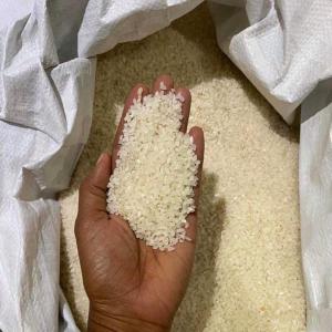  Riz Japonais (hinohikari) - céréales riz japonais (hinohikari) disponible &agrave; antananarivo pour exportation.--le riz hinohikari est un hybride de riz koshihikari et de riz koganebare. ce riz est tr&egrave;s appr&eacute;ci&eacute; des professionnels de la restauration,  id&eacute;al pour les sushi,  boulette de riz et risotto.--