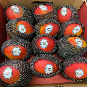  Mangue Avion Saison 2021/2022 - fruits et légumes entreprise agricole de la région de tambogrande au pérou depuis plus de 10 ans,  dont la principale spécialité reste la mangue,  les agrumes,  ainsi que l'avocat.-- --notre société à la possibilité de vous faire les meilleurs offres sur le march&e