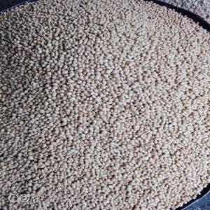  Soja Sans Ogm Et Soja Bio En Vente - fruits secs et graines grillées je recherche des clients et partenaires d'affaires pour la fourniture du soja sans ogm et soja bio en grande quantité avec certification ecocert,  bien vouloir e contacter pour plus amples informations. 