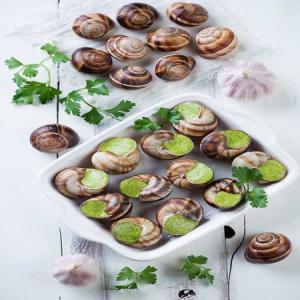  Escargot De Raisin - coquillage crustacé nous sommes une entreprise ukrainienne d'&eacute;levage et de transformation d'escargots des esp&egrave;ces helix aspersa maxima,  helix aspersa muller et helix pomatia. nous recherchons des clients s&eacute;rieux et fiables de l'ue.--nous proposons des produits &agrave; base d'escargots de raisin. n