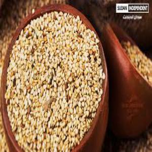  White Sesame. - roasted seeds and nuts we sell roasted seeds/ white sesame.--the quantity is 1000 tons,  harvested in our fields in sudan.--the price per tons (fob) is 1350 dollars,  (delivered on the ship)....----the quantity is available immediately.----- $1, 350--- 1000 tonnes