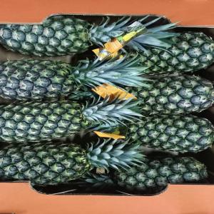 Fruits Et Légumes Exotiques De Qualité Supérieur - fruits et légumes nous produisons et commercialisons des fruits et légumes tels que la banane douce cavendish,  l'ananas,  la mangue kent , la noix de coco (calibre a et b)  ,  l'amande de cajou (noix de cajoux décortiquées ) la banane plantain ...pour tous ces produits cités plus haut , notre 