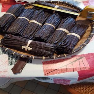  Vanille Bourbon Madagascar - épices aromates vends vanille noire non fendue de madagascar cultivée par ma famille région d antalaha. possibilité de fournir plusieurs kilos par mois en france.--actuellement à environ 300€ le kilo,  très belle qualité,  gousses de 18cm environ négociable selon quant