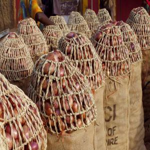  Vente De L'oignon Violet - fruits et légumes bonjour !----commercialise l'oignon rouge d'une très bonne qualité  à des prix très abordables.--contactez-nous pour passer vos commandes.--nos contacts --