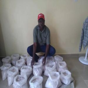  Vendre Poudre Concombre De Mer - poissons 85 kilos de poudre de concombre de mer disponibles au sénégal. avec tous les papiers d'exportation. faites vite votre commande !