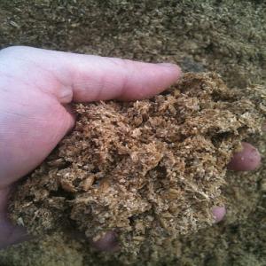  Fournisseurs De Drêches De Brasserie Sèches - aliments pour animaux bonjour ,  nous sommes un &eacute;tablissement tunisien sp&eacute;cialis&eacute; dans le domaine de l'alimentation animale --actuellement,  nous somme &agrave; la recherche des fournisseurs s&eacute;rieux pour nous fournir de la dreche de brasserie s&egrave;che. --si l'un des suivants est int&eacute;r