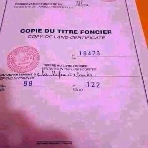 Terrain à vendre dans Yaoundé au Cameroun - mine terrain concession *** 1er lot - 2 hectares ayant des lotissements de 2500m2 prix - 15.000rcfa le m2----*** 2e lot- 1000m2 situé à quelques minutes de la présidence de la république lieu dit mont febe parcours vita prix - 300, 000fcfa le m2----***  3e lot- 10 hectares situé à 5