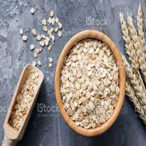  Oat Ready For Sales - other oat branched cluster of florets,  cultivated in cool climates and widely used for animal feed,  cereal crop or its grains,  used for making biscuits or a food called porridge,  great source of important vitamins,  minerals,  fiber and antioxidants, --  -- these include weight loss,  lower blood sugar levels