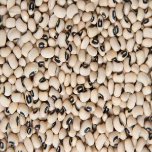  Black Eyes De Qualité En Déstockage - matiere vegetale bonjour, --disposant de plusieurs kilos de black eyes ici à madagascar,  je cherche un partenaire pour import/export de mes produits à l'étranger. si cet annonce vous intéresse,  votre réponse sera le bienvenue.--n’hésiter à nous contacter. --cordialemen