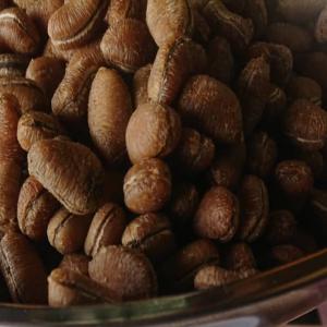  Je Vends Les Grandes De Caviar De Vanille - épices aromates gousses de caviar de vanille de bonne qualité disponibles à bon prix du cameroun 