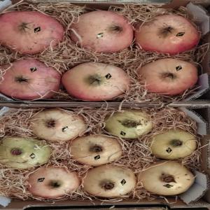  Grenade Vendre - fruits et légumes grenade marrocain premier qualit&eacute; 6 pi&egrave;ce par caisse cartone  de 4.5 kg pret &agrave; export&eacute; --pmegrenat to sell first quality six pieces by carton of 4.5 kg ready to export. 